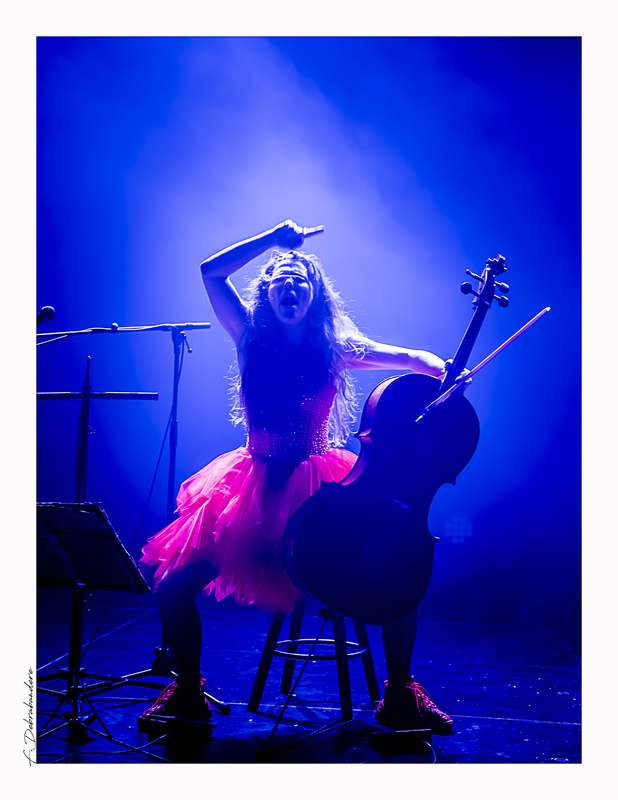 Les Alterations Accidentelles : Catharsis